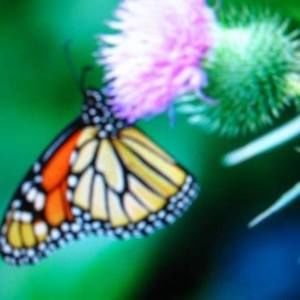 Meet your Posher, Margaret